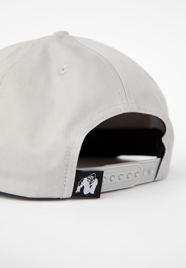 Ontario Snapback Cap Gray/Black